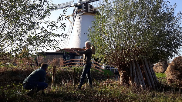 Beschoeiingspalen slaan bij Babbersmolen_Paul Sporken-min